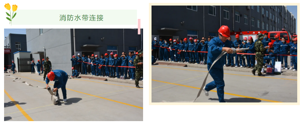 ̫ɼ(tyc33455cc-CHINA) - ٶȰٿ