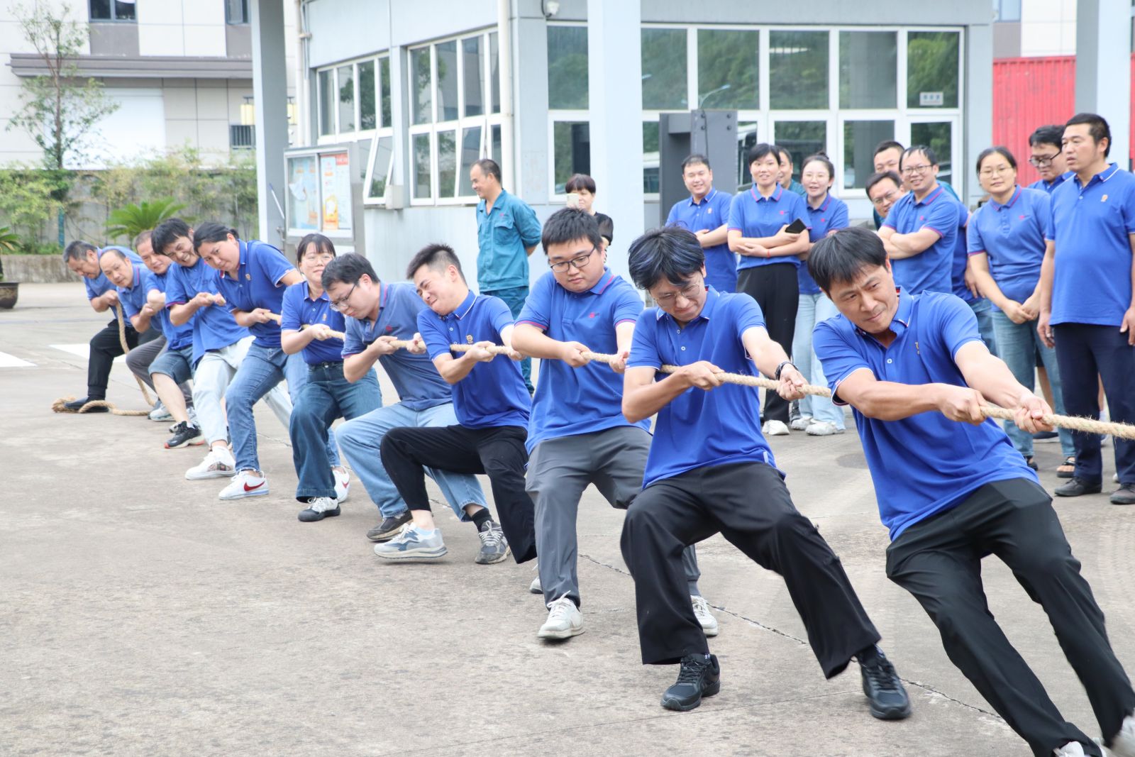 太阳成集团(tyc33455cc-CHINA) - 百度百科