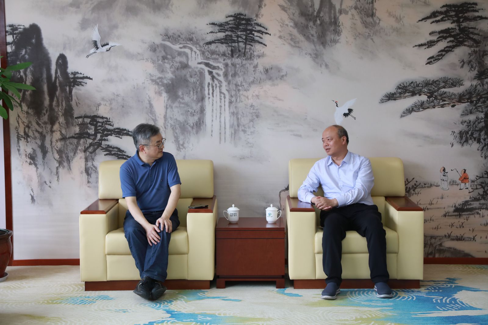 ̫���ɼ���(tyc33455cc-CHINA) - �ٶȰٿ�