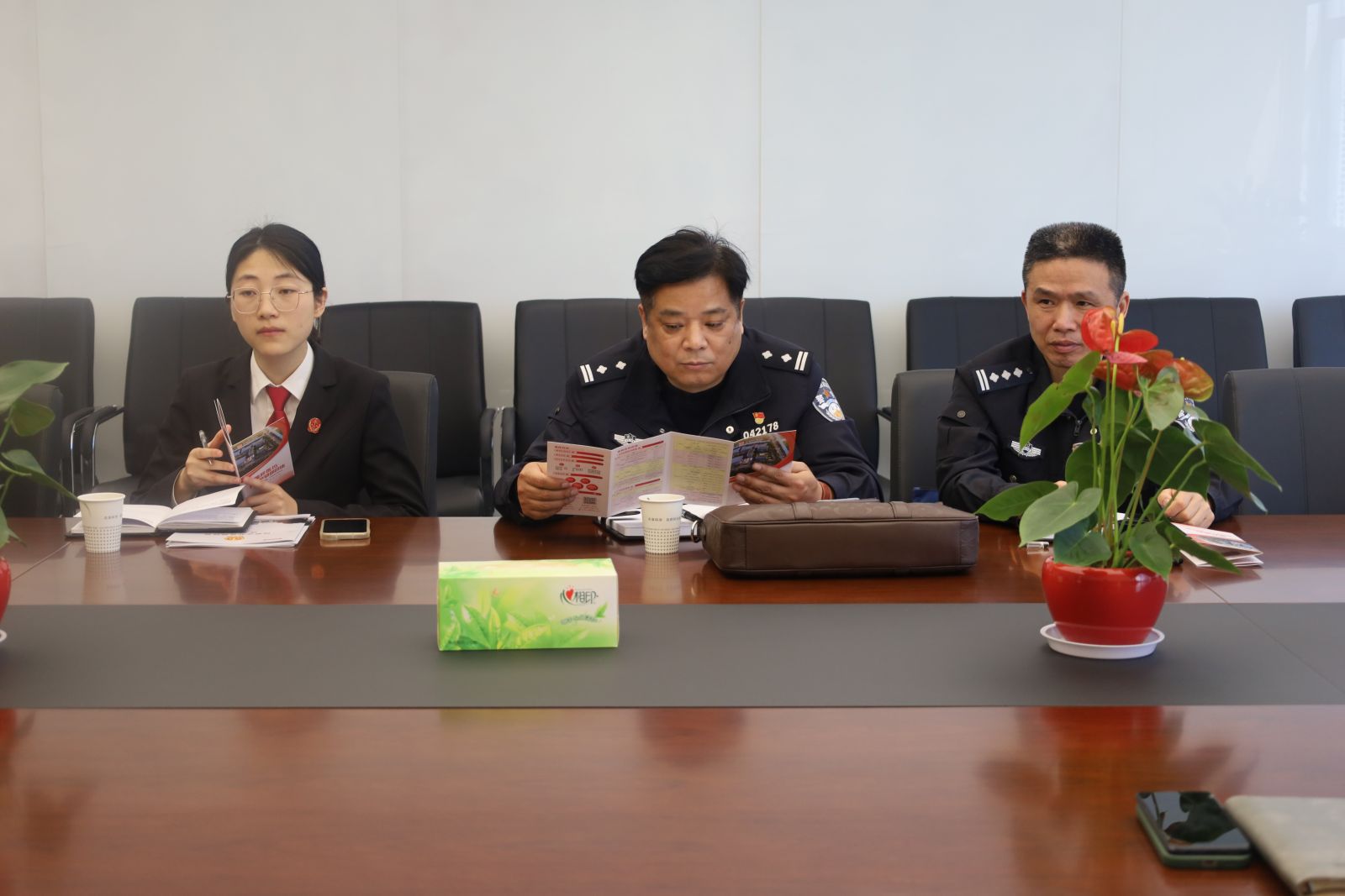 ̫ɼ(tyc33455cc-CHINA) - ٶȰٿ