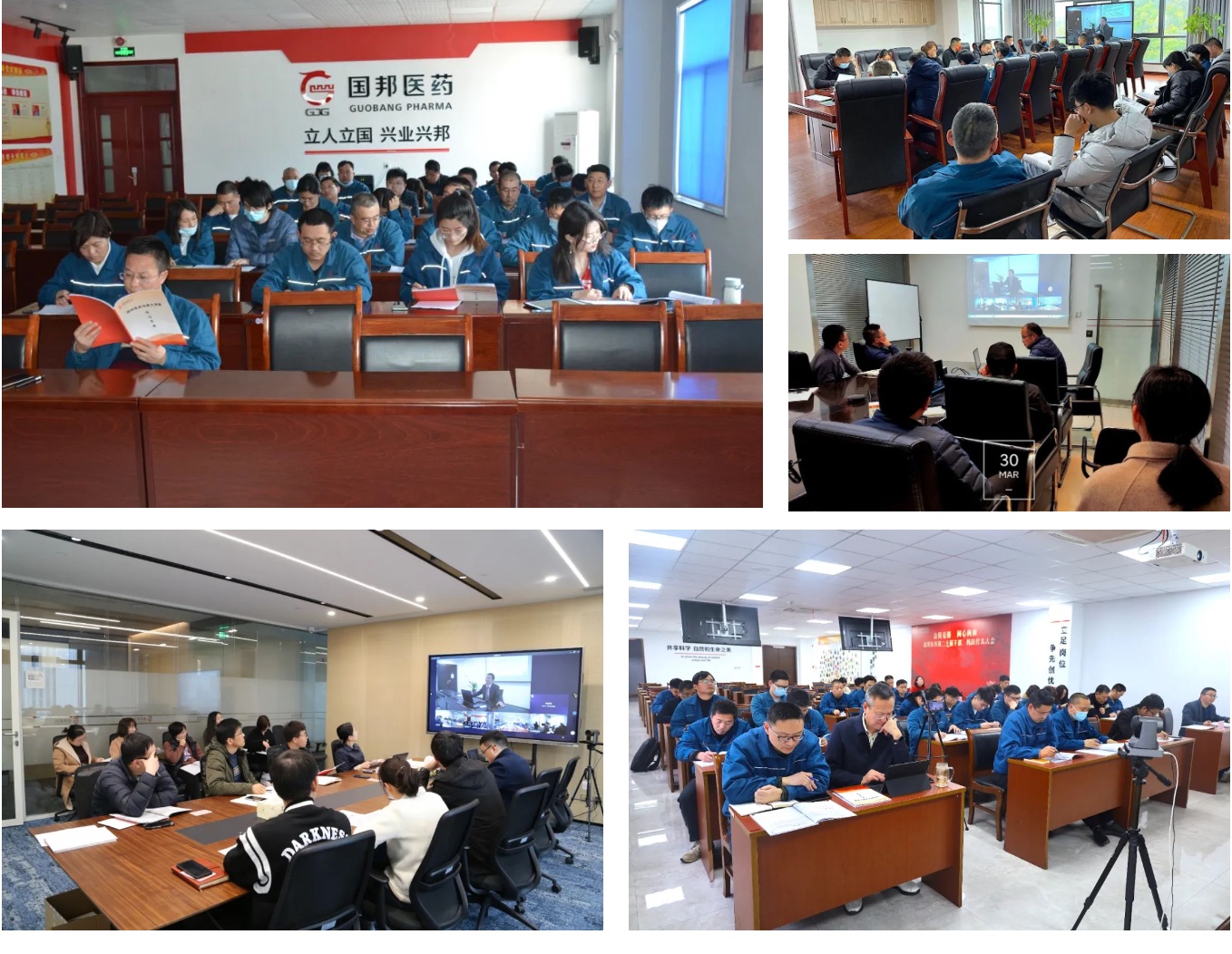 ̫ɼ(tyc33455cc-CHINA) - ٶȰٿ