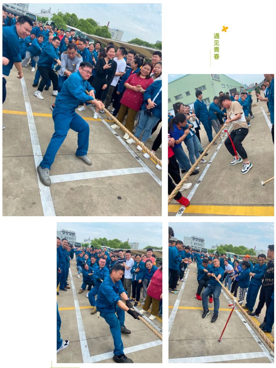 ̫ɼ(tyc33455cc-CHINA) - ٶȰٿ