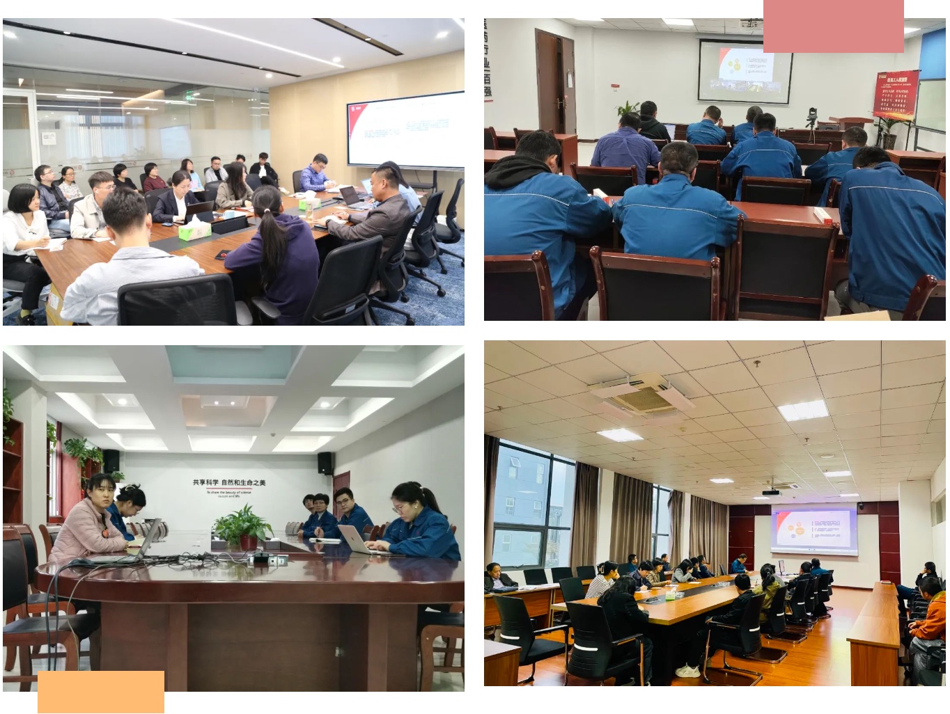 ̫ɼ(tyc33455cc-CHINA) - ٶȰٿ