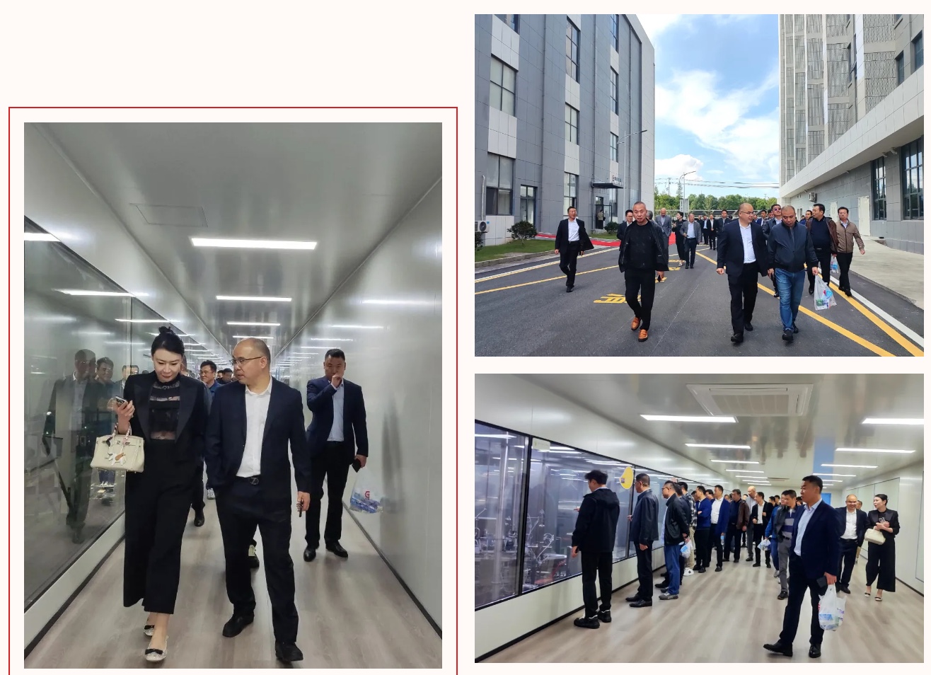 ̫ɼ(tyc33455cc-CHINA) - ٶȰٿ